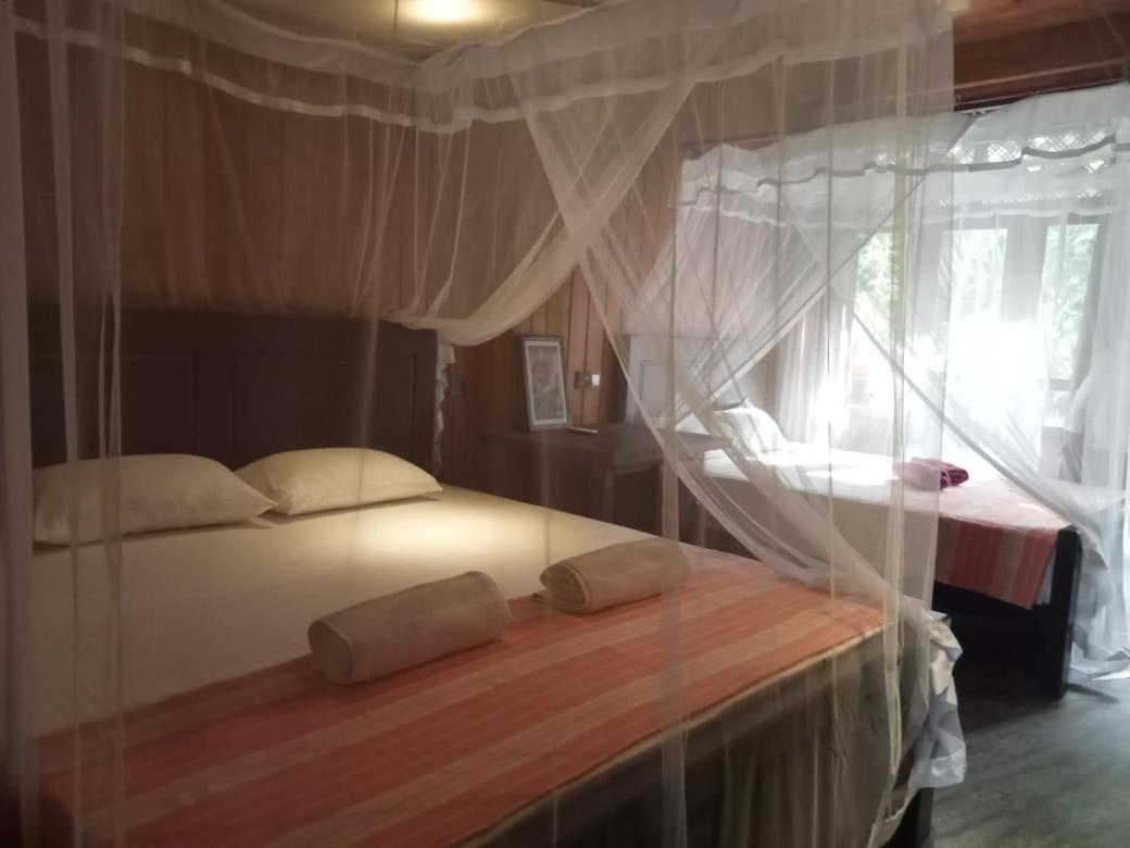 בית הארחה דיקוולה 	Piumi House מראה חיצוני תמונה