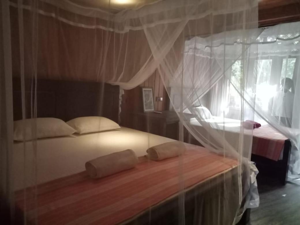 בית הארחה דיקוולה 	Piumi House מראה חיצוני תמונה